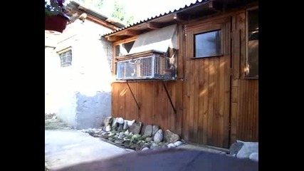Rmov0001.avi