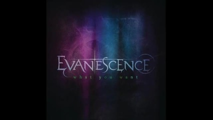 Превод! Evanescence - What You Want