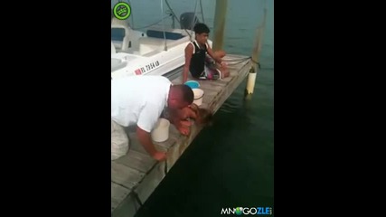 Акула хапва рибка от детска ръчичка