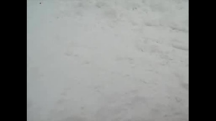 Боби Се Търкаля В Снега