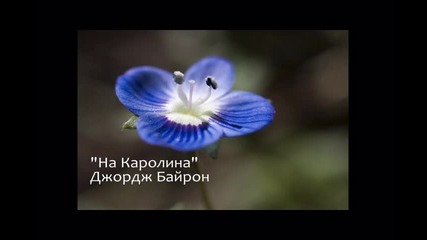 Раздялата ... "на Каролина" - Джордж Байрон