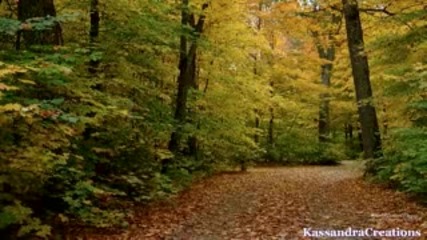 Karunesh - Spirit Of The Forest