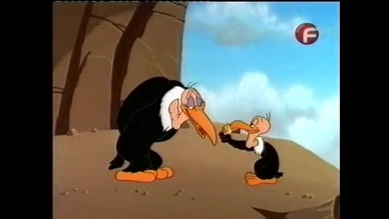 Sylvester and Tweety - El Dia De Los Pussygatos_ 3 Days And 2 Nights Of The Co