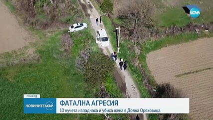 Глутница кучета уби жена в Долна Оряховица