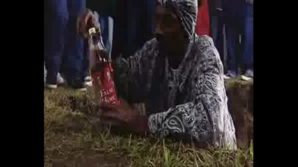 Bloods Crips - Shooting
