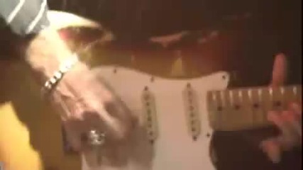 Never The Bride - The Living Tree 