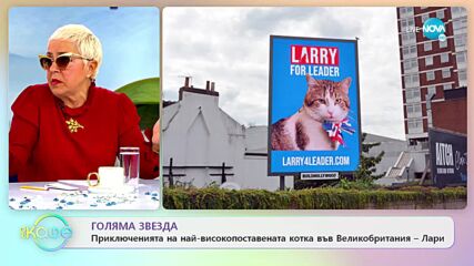 Приключенията на най-високопоставената котка в UK - Лари - „На кафе” (12.10.2022)
