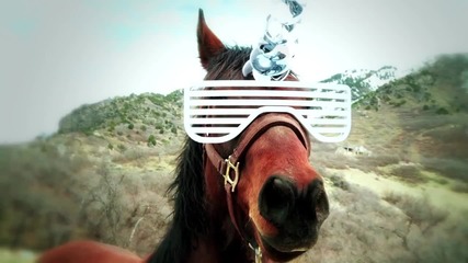 Pimp My Horse