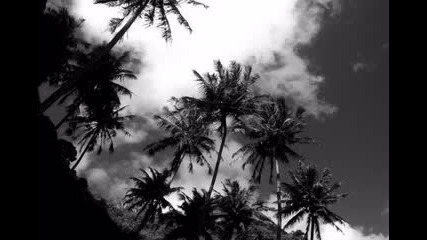 Forest People - Fatu Hiva (svast Lost in Paradise Remix)