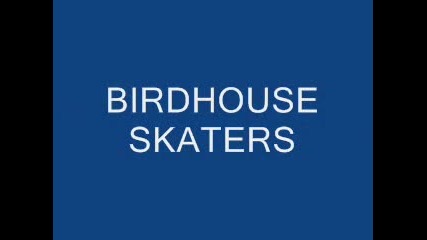 Fingerboarding Birdhouse Skaters (part 1)