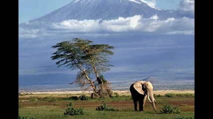 African Chill Out Music