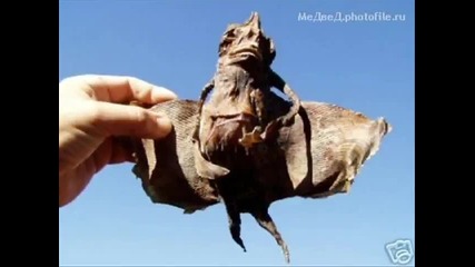 Твари!!! (creatures!!!) 
