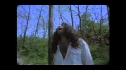 Mr Reality - In My Yard