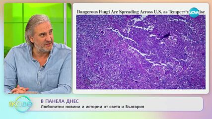 Опасни гъбички се разпространяват щом температурите се вдигнат