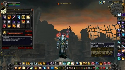Hydra Priest Talkthrough 8 - Priest Macros