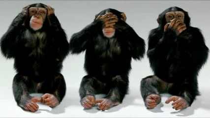 Arena Twins - Oh What A Shame 