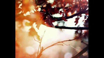 Elevation - Biscayne ( Original Mix )