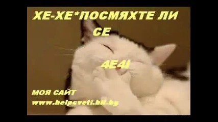 Смешни Животни._ Funny Animals