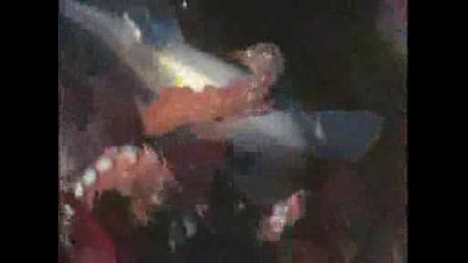 National Geographic - Shark Vs Octopus