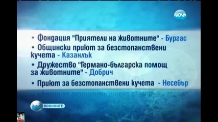Как можем да помогнем?