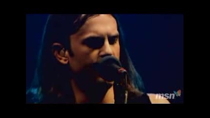 Kings Of Leon - Fans