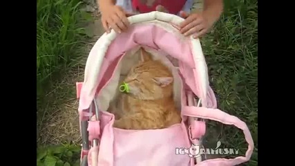 Момиченце се грижи за малкото си котенце като за бебе