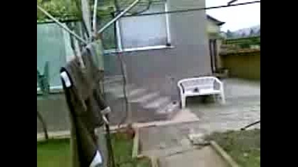 Нелина