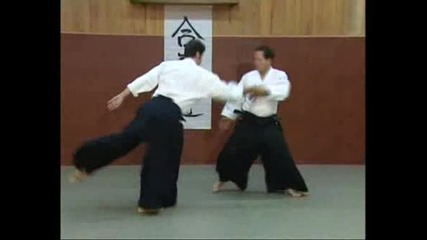 Aikido - Tissier - Някои Техники
