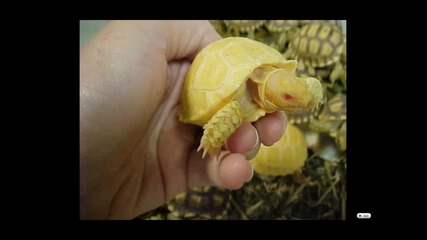 Топ 20 най - удивителни снимки - част 4