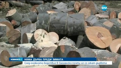 След снежното бедствие в Смолянско почти не се секат дървета
