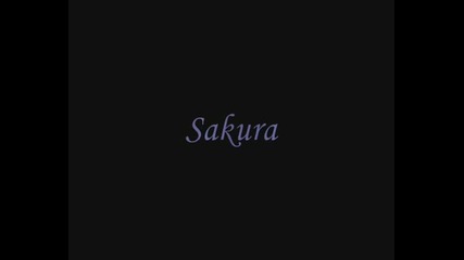 Kakashi Team
