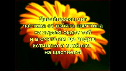 Чрд на Мила Красива