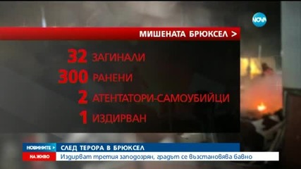 Какво знаем за терористите и жертвите на атаките в Брюксел?
