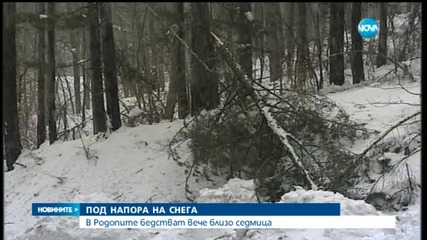 Новините на Нова (12.03.2015 - късна)