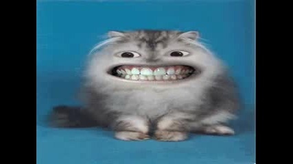 Very Funny Animated Gifs 2