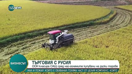 ООН обяви кои са най-големите купувачи на руски торове в света