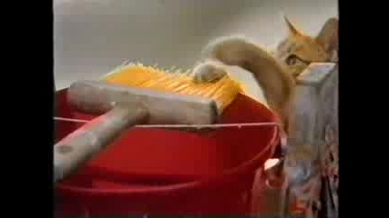 Whiskas Cat Food - 1990 Uk Advert