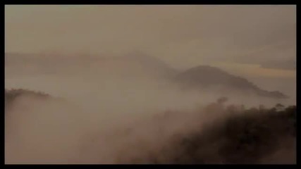 Breaking Dawn | Safe and Sound