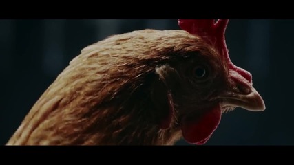 Mercedes - Benz T V: Magic Body Control Tv commercial "chicken" / / Луда реклама на Мерцедес