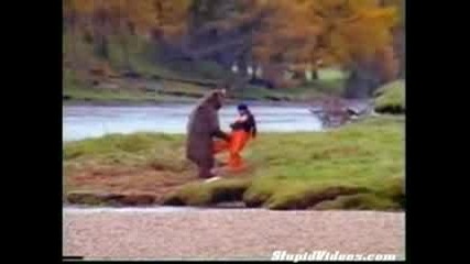 Полудяла Мечка