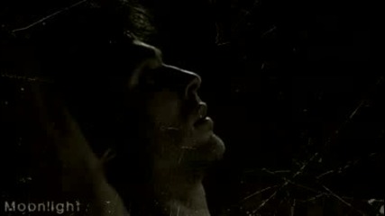 the vampire diaries /damon salvatore