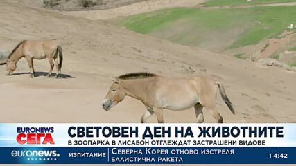 В зоопарка в Лисабон защитават застрашени видове