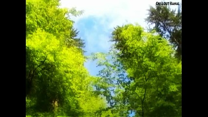 Natur und Wald Impressionen 3 (chillout) Entspannung Meditation Musik2 
