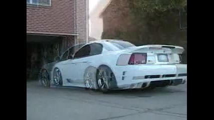 sick saleen 