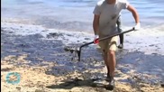 Second Major California Beach to Reopen After May Oil Spill