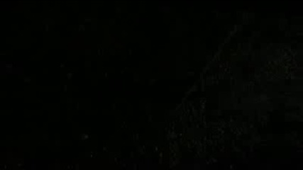 Зовът на Припят