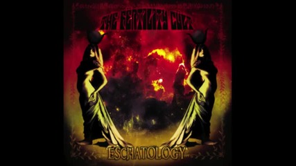 The Fertility Cult - Return to the End of the Beginning