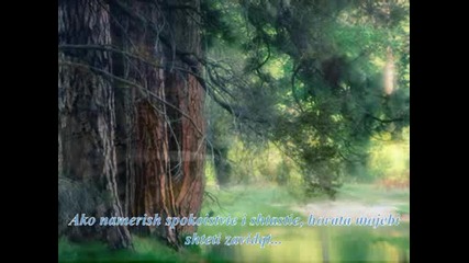 vapreki tova.wmv
