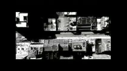 Lamborgini - treilar