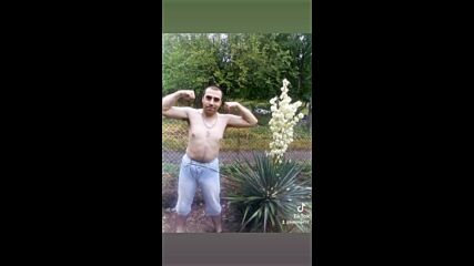 Vid_29040612_045305_335.mp4